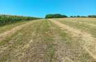 Teren agricol extravilan de vanzare in satul Tarpesti, jud. Neamt - 4