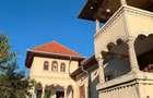Casă individuală cu 7 camere cu Teren 1150 Mp în Cotești - 4