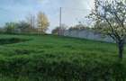 Vand teren intravilan - 1