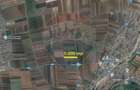 Teren Extravilan 5.000 mp Tarlungeni / Strada Zizinului - 1