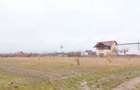 Teren Construcții intravilan de 500 mp, în Sânpetru - 2