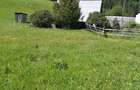 Teren 7 Hectare Brodina Suceava Par?ial Intravilan, Casa + Anexe, Zona de Munte | Ocazie - 8