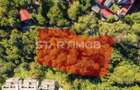 Teren intravilan zona Schei Brasov