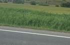 Teren de vanzare in huedin - 7