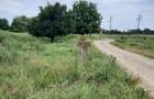 Teren extravilan de 4900 mp, în Boldești - 4