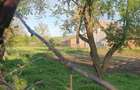 Casa de vanzare, 3 camere, curte mare, sura si grajd, teren 2600 mp - 1