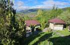 Valea Doftanei - Casa superba cu livada ?i priveli?te deosebita gata de mutare! - 9