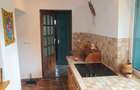 Vand casa in zece Hotare ideala pentru locuit sau casa de vacanta - 13