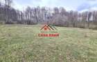 Teren extravilan Valea Doftanei 20.500 mp 6e mp - 15