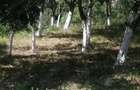 Casă cu 3 camere cu Teren 8000 Mp în Lumnic - 8