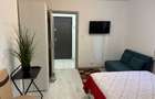 Ofer spre inchiriere doua apartamente in Radauti - 4