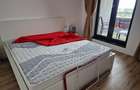 Apartament cu 2 camere semidecomandat în Take Ionescu - 17