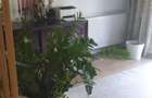 Casa zona Odai -- Otopeni - 4
