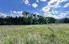 Teren Construcții intravilan de 4000 mp, în Brădet - 7