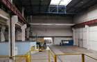 Birouri, spatiu industrial, hale Zona Libera Giurgiu ID 1... - 1
