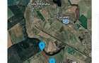 Teren Frumu?ani - direct proprietar 10000mp. - 3