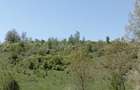 Teren în Gușoeni - 2