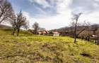 Teren de 6500 mp, în Moieciu - 3