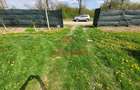 Teren extravilan in Baicoi 10.000mp plantatie mure --80.000e - 13