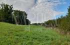 Teren intravilan agricol de vanzare in Betfia Bihor , Oradea - 4