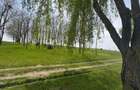 Oportunitate ideala pentru casa langa lac si padure de salcami - 5