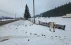 Teren Construcții intravilan de 5000 mp, în Nord - 8