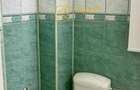 Apartament cu 3 camere decomandat în Tătărași - 8