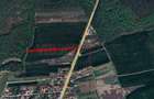 Ciolpani - Dn1 Stradal, teren intravilan, suprafata 4.676 mp - 2