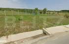 Teren intravilan - 4200 mp, parcelabil, construibil, cu livada, Rascru - 1