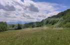 Teren extravilan de 28500 mp, în Gușterița - 9