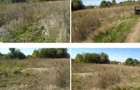 Teren Branceni, ID: R2942560 - 1