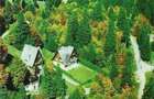 Vand 1\2 vila in Sinaia,cartier Furnica - 7