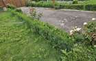 Vand proprietate front doua strazi Beius - 8