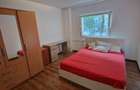 Apartament cu 2 camere semidecomandat în Ozana - 5