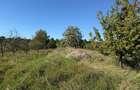 Teren intravilan 965 mp-imprejmuit-ideal casa-Livezile