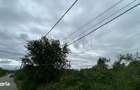 Teren sector 1 Centura DN1 Padurea Baneasa - 3