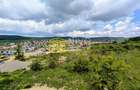 Teren intravilan cu panoramă – Livezeni – Str. Pârâului - 1