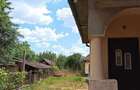 Casa de vanzare Baba Bovac, oras Ardud - 7