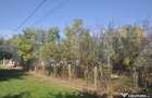 Vanzare Casa / Vila Giroc / Fratelia - 4