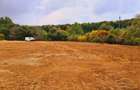Teren Intravilan Jilava 22.000 mp Ideal Industrial / Logistic / Re - 6