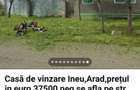 Se vinde casa in Ineu - 1