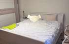 Apartament cu 3 camere decomandat în Ultracentral - 6