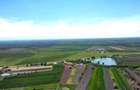 Teren intravilan 2.500 mp in Boghis | Ideal pentru casa sau pensiune | langa balta de pescuit - 4