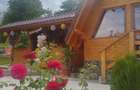 Vand cabana A-Frame - Vulcana de Sus DB - 7