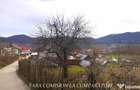 VLADESTI - LOT TEREN BINE AMPLASAT - 5