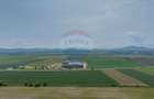 Teren Construcții de 40000 mp, în Nord - 3