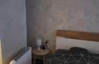 de inchiriat apartament o camera zona Take Ionescu