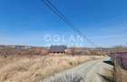 Oportunitate! Teren 8000 mp,parcelat ,cu PUZ ,Daia Noua, acces Dj 106 - 5