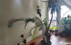 Casa in Deva, zona 22 Decembrie- Balcescu - 4