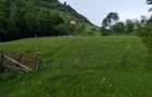 De vanzare teren 6500 m2 in sat Magura jud brasov la principala - 4